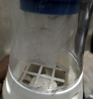 Testi13.jpg